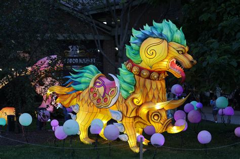 Cleveland Zoos Asian Lantern Festival Returns