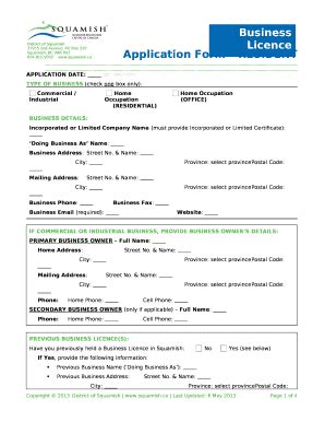 APPLICATION DATE DD MM YYYY Doc Template PdfFiller