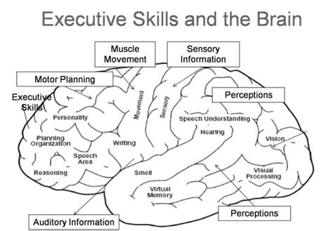 Help For Parents Understanding Executive Functioning Skills