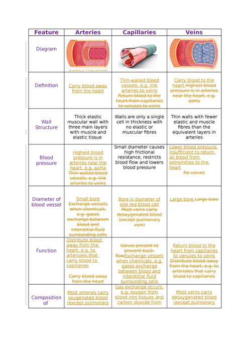 Arteries Veins And Capillaries Comparison