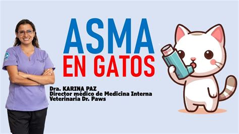 Asma En Gatos La Vida Con Gatos Lavidacongatos Youtube