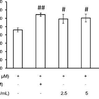 Effects Of Phnp On Cell Viability In Hepg Cells Exposed To H O