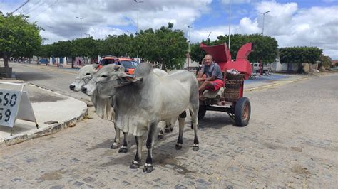 Visitando A Regi O De Serra Branca Carna Ba Pernambuco Veja A Cultura