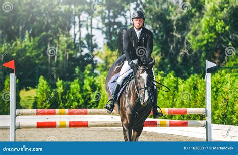 Showjumping Competition Bay Horse And Rider In Black Uniform