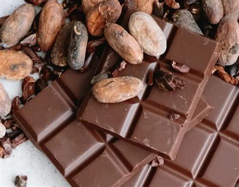 redőny Tájkép Örüljetek proceso del cacao artesanal Temető ingerültség