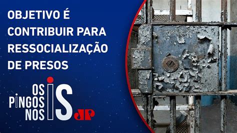 Conselho publica diretriz para instalação de gatis e canis em