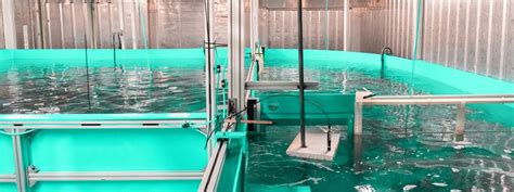 Smart fish farming tanks for efficient aquaculture systems