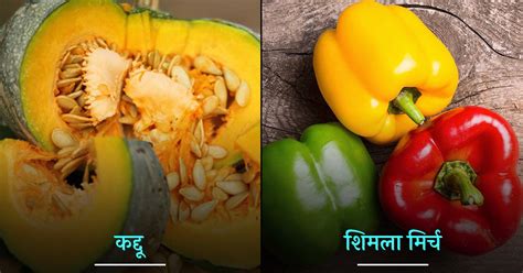 Summer Vegetables Diet गर्मियों में इन 10 सब्ज़ियों को अपनी डाइट में