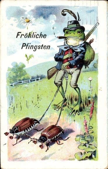 Ansichtskarte Postkarte Glückwunsch Pfingsten Frosch akpool de