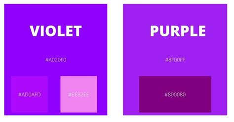 Lilac Vs Lavender Color: Exploring The Differences And Similarities - [Updated January 2025 ]