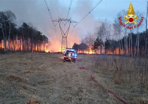 Incendio Nel Parco Delle Groane Mila Metri Quadri Di Sottobosco In Fumo