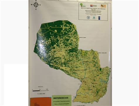 Primer Mapa Oficial De Cobertura Forestal En Paraguay FAPI