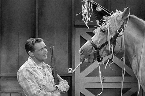 Mister Ed 1961