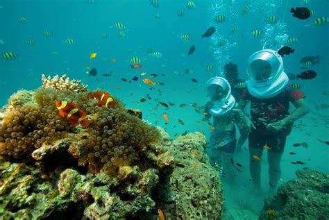 Sea Walking In Andaman Islands From 3500 Experience Andamans