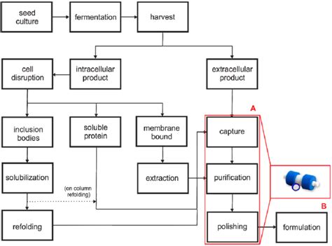 Fig. n 4 Schematic diagram of a typical bioprocess. (A) different ...