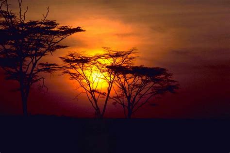 Free picture: African, sunset