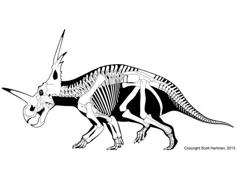 styracobones | Styracosaurus, Prehistoric animals dinosaurs, Dinosaur drawing