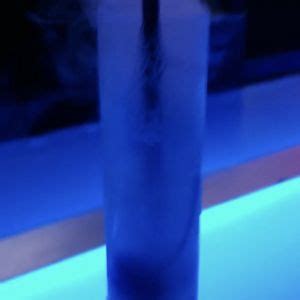 ICEBAR ORLANDO - 601 Photos & 299 Reviews - 8967 International Dr, Orlando, FL - Yelp