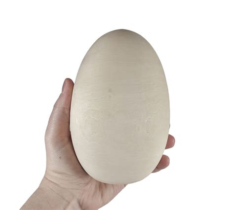 Dummy Ostrich Eggs