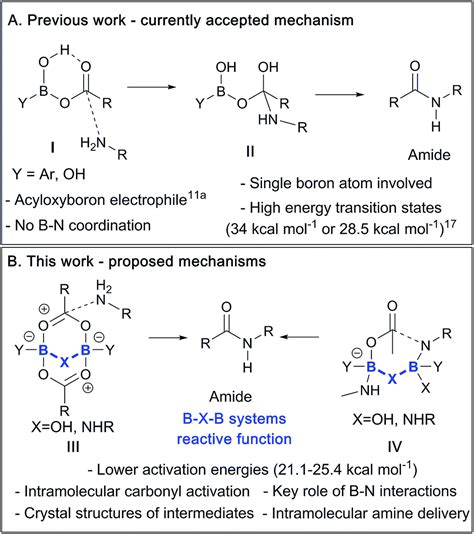 Amide Synthesis Mechanism