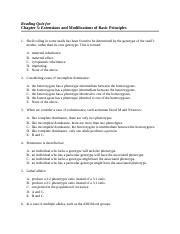 Pierce E Readingquiz Ch Doc Reading Quiz For Chapter