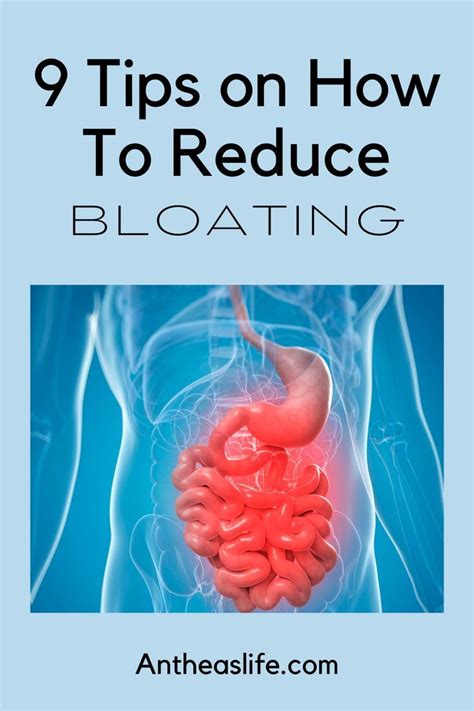 Tips On How To Reduce Bloating Artofit