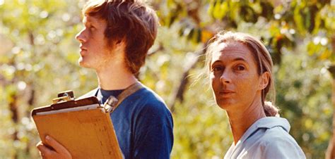 I Was Jane Goodalls Student The True Story Behind Following Fifi