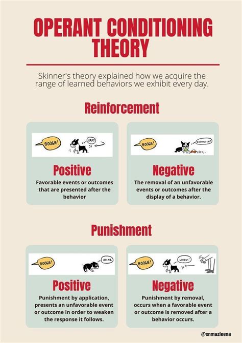 Skinner s operant conditioning theory – Artofit