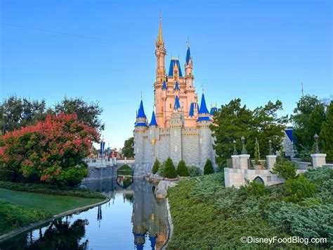 I Go To Disney World Every Day Here Are My Top Comfort Hotels