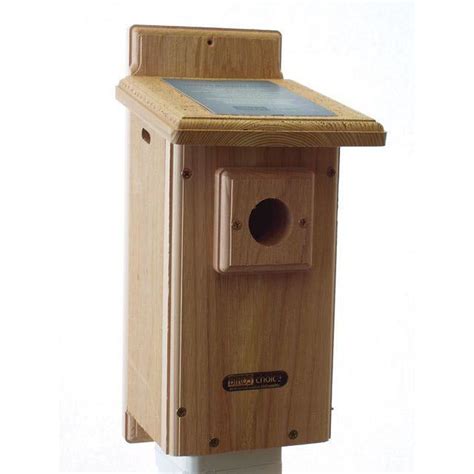 Bluebird Nesting Box – Backyard Bird Centre