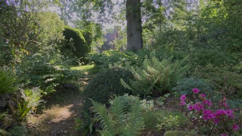 Gertrude Jekyll Garden Munstead Wood|Surrey | National Trust