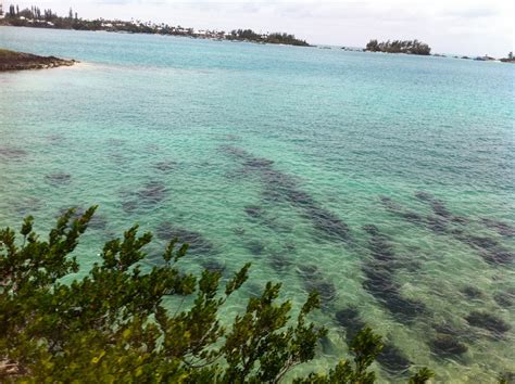 The most beautiful beaches in Bermuda | Most beautiful beaches