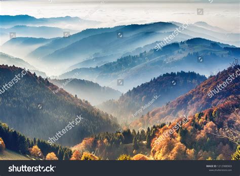 257,305 Forest Highland Images, Stock Photos & Vectors | Shutterstock