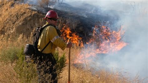 California Wildfires Prompt Evacuations As Temperatures Soar Cbc News