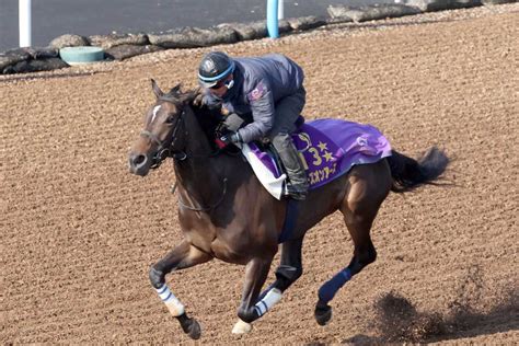 【大阪杯】2週前追い切り 2冠牝馬スターズオンアースが最先着 高柳瑞師「まだまだ良くなる」 サンスポzbat