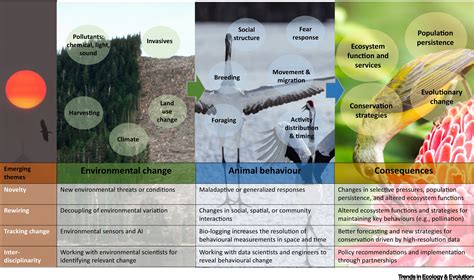 animal behaviour   changing world trends  ecology evolution