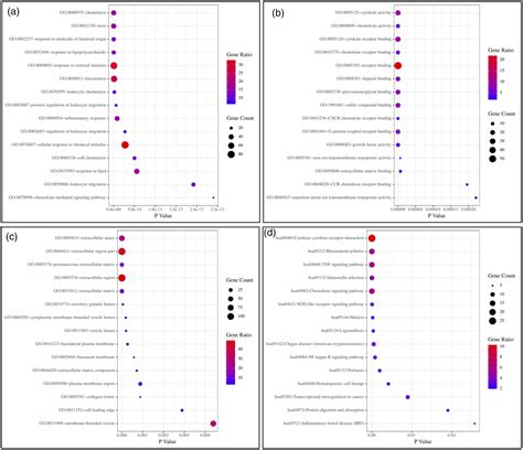 Identifying The Potential Role Of Il In The Molecular Mechanisms Of