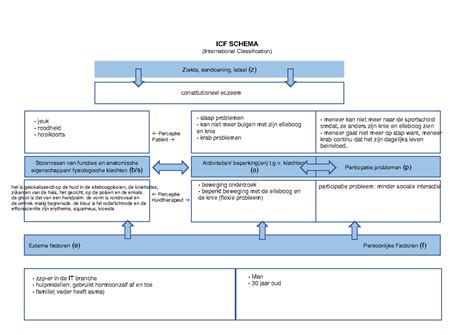 Icf Schema Casus 1 Constationeel Eczeem Maak Icf Schema