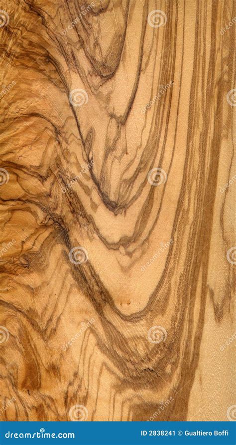 Wood Olive Tree Stock Image - Image: 2838241