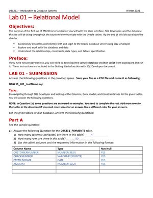 Dbs Lab Chadha Dbs Lab Dbs Introduction To Database