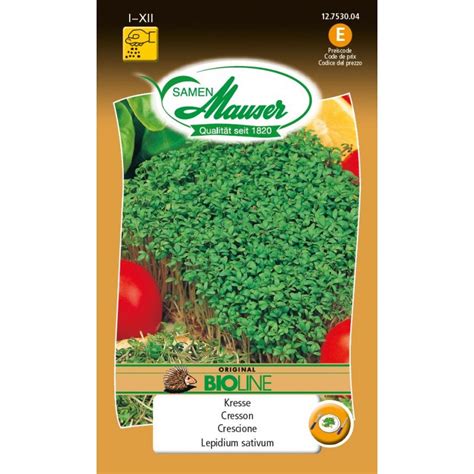 Germes De Graines Cresson Bio Acheter Sur Plantes Ch