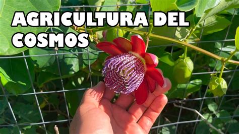 Calendario Agricultura Biodin Mica Acercamiento E Introducci N Youtube