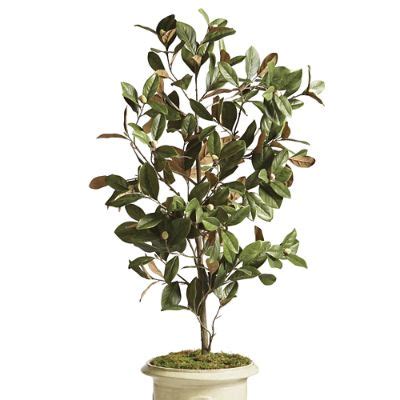 Indoor/Outdoor Magnolia Tree with Lifelike Leaves & UV Treatment for ...