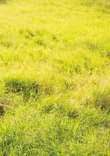 三上悠亜 Here you are 00068 Porn Pic