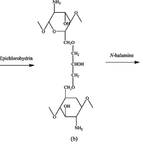 Scheme I Cross Linking And Chlorination Reactions Of Chitosan With Download Scientific Diagram