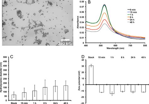 Nanoparticle Characterization For The Uptake And Localization