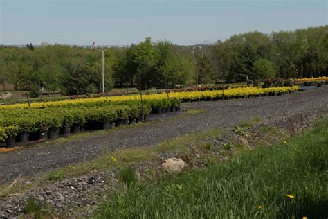 Paysage de Saint Paul d Abbotsford Municipalité de Saint Paul d