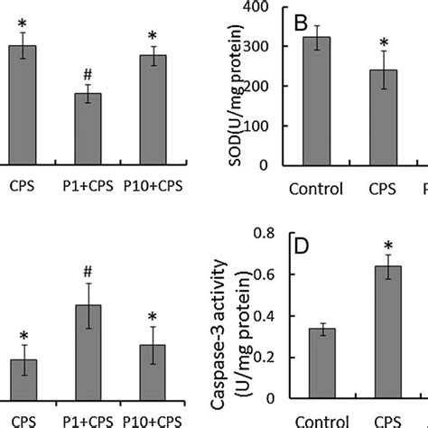 The Effects Of Pacap On The Mda A Sod B Cat C And Caspase 3 Download Scientific Diagram