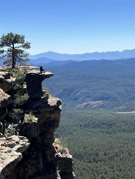 A Man Standing On Top Of A Cliff Next To A Forest