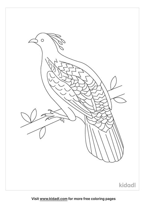 Free National Bird Of Nepal Coloring Page | Coloring Page Printables ...